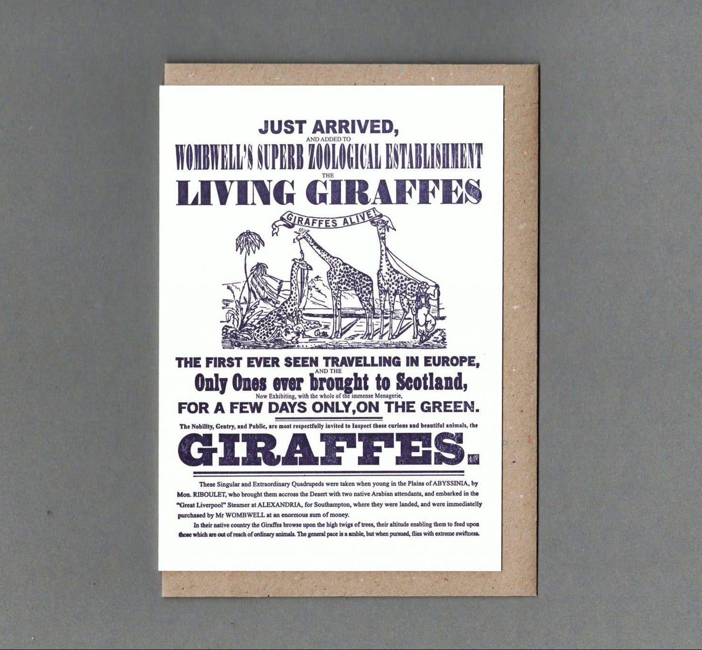 Giraffes. Letterpress Greeting Card, Eco Friendly