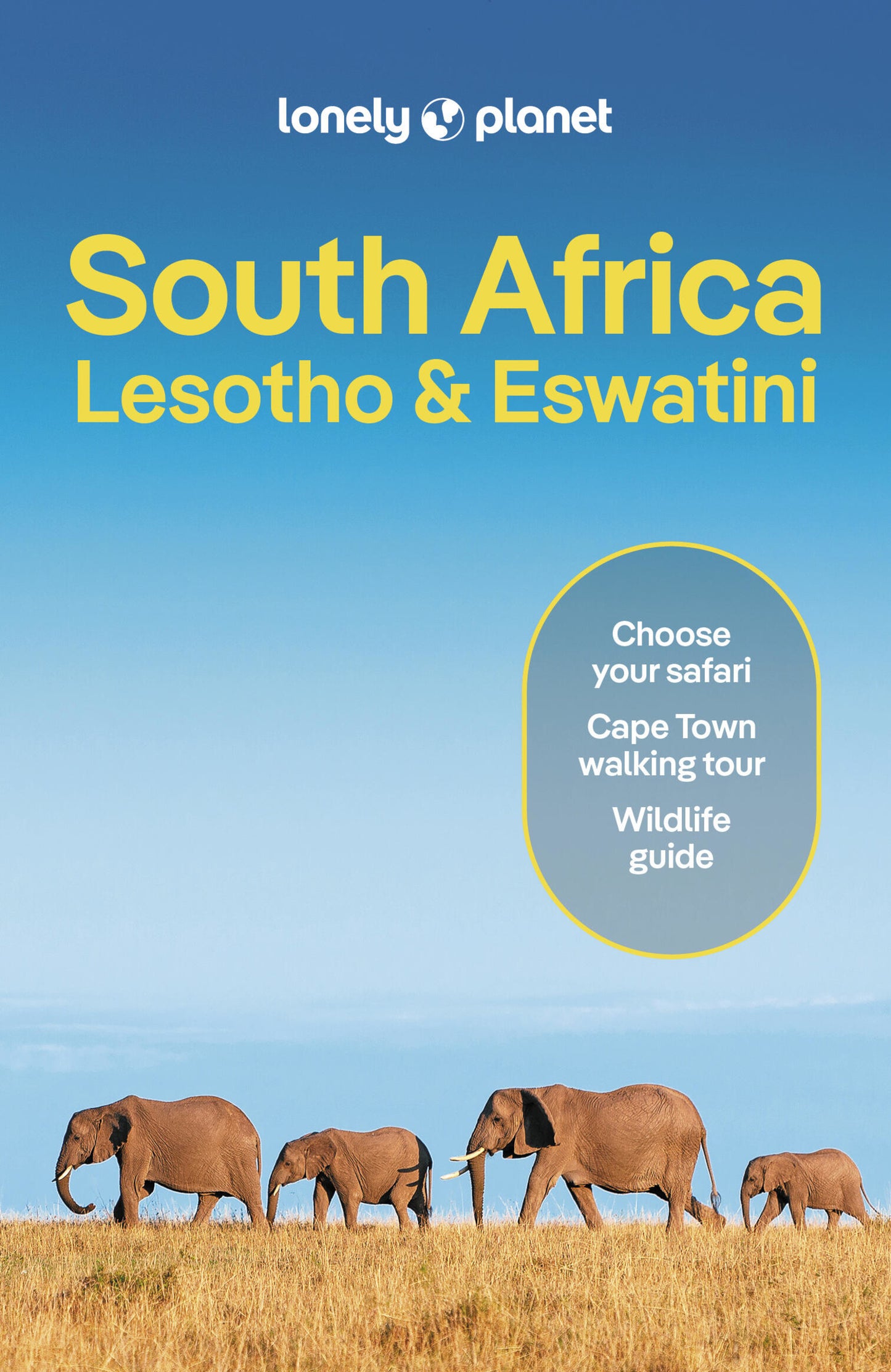 Lonely Planet South Africa, Lesotho & Eswatini 13 13th Ed.