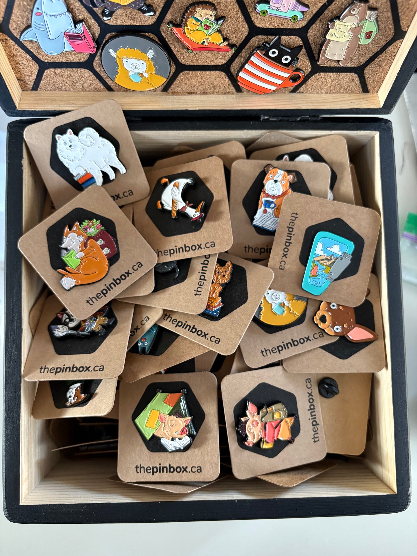 Pinbox Pins