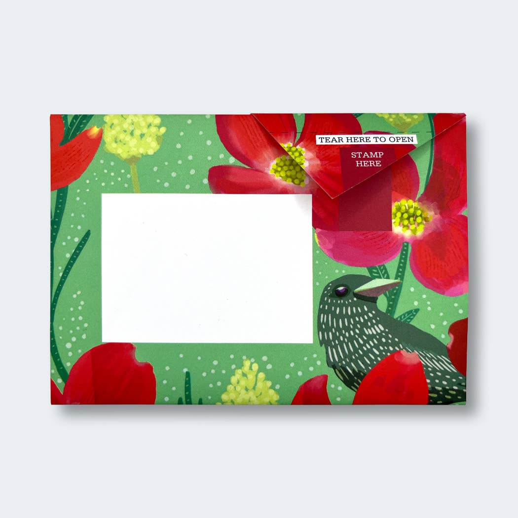 Dusk to Dawn Pigeon letter pack