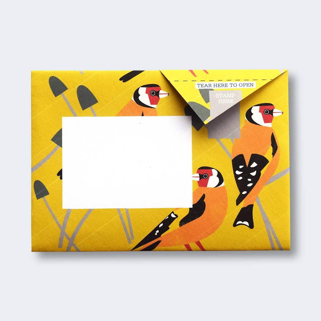Dawn Chorus Pigeon letter pack