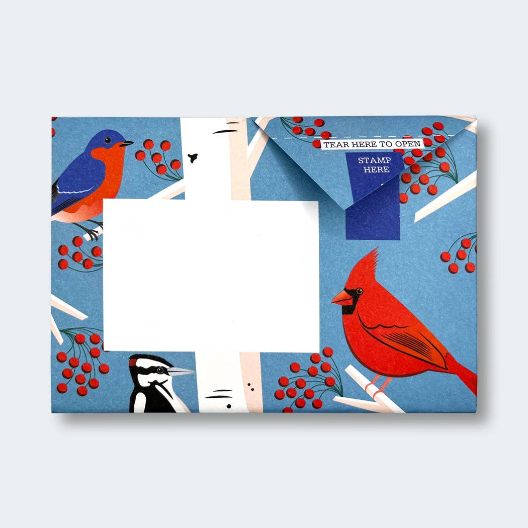 Carnival of Colour Pigeon letter pack