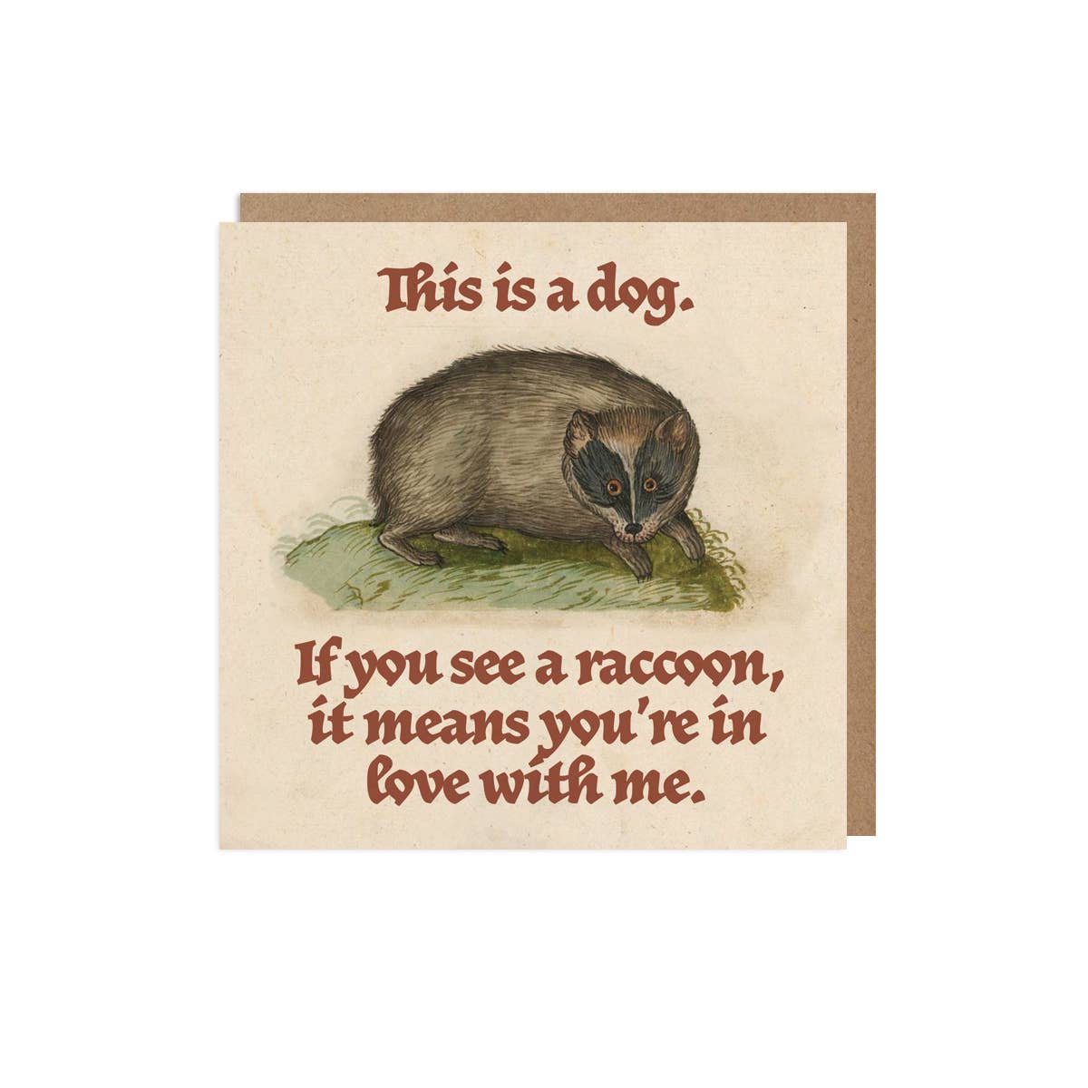 Funny Love Card – Not a Raccoon