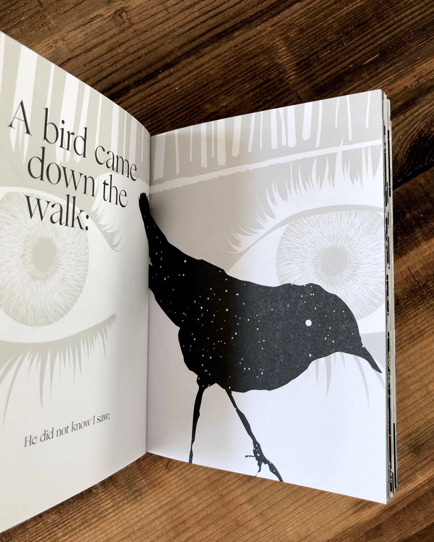 Emily Dickinson, Illustrated Book