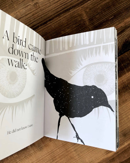 Emily Dickinson, Illustrated Book