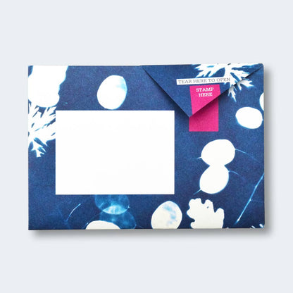 Apothecary Pigeon letter pack