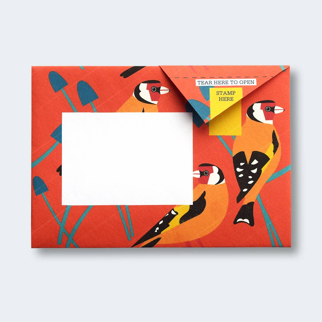 Dawn Chorus Pigeon letter pack