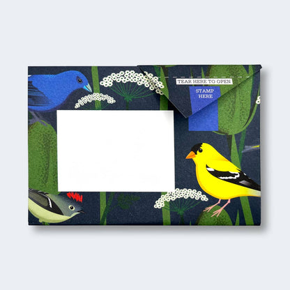 Carnival of Colour Pigeon letter pack