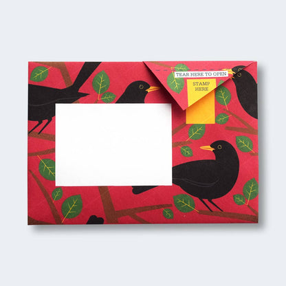 Dawn Chorus Pigeon letter pack
