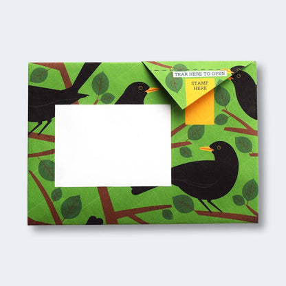 Dawn Chorus Pigeon letter pack