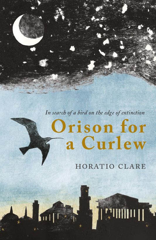 Orison for a Curlew