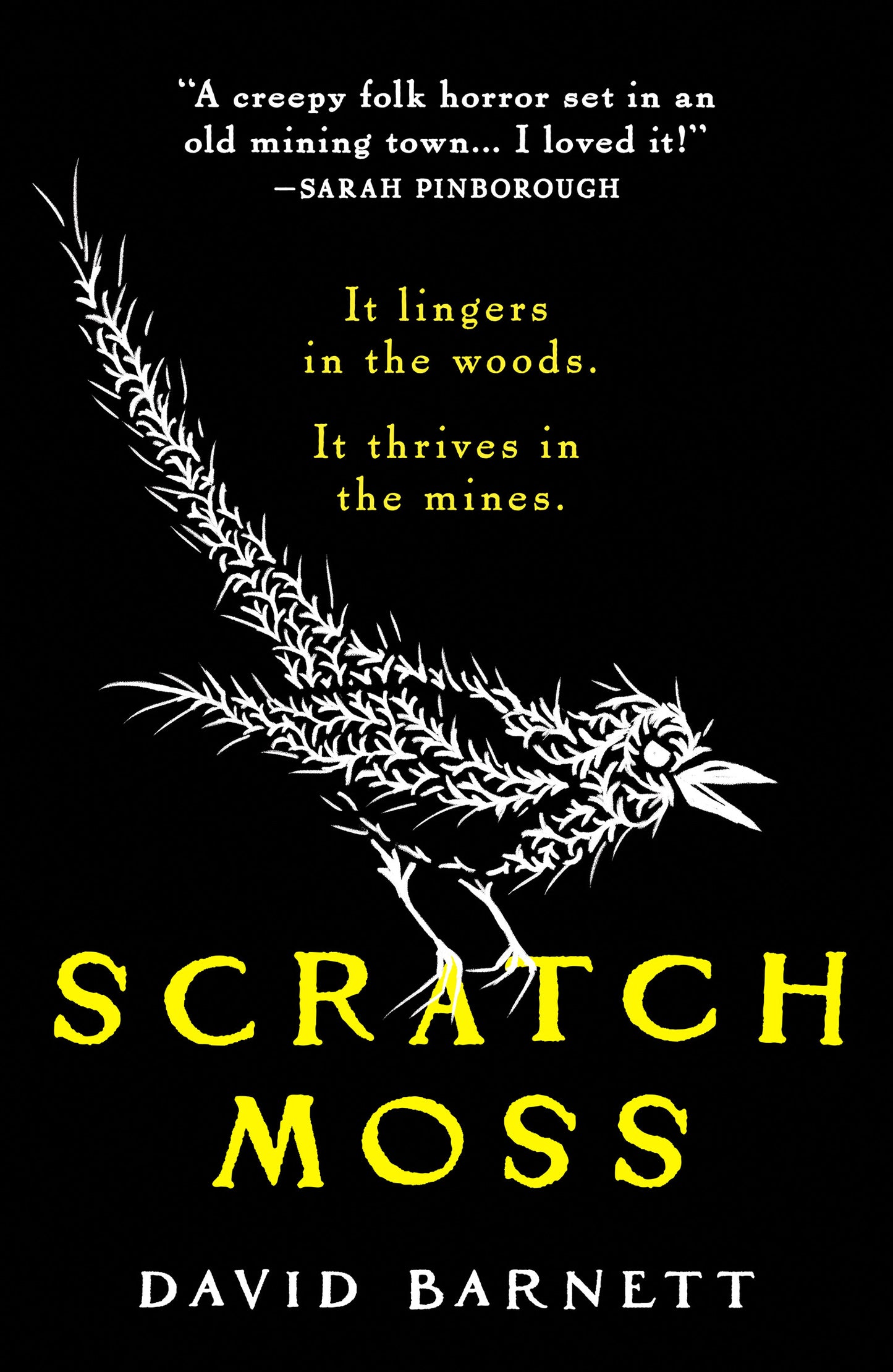 Scratch Moss