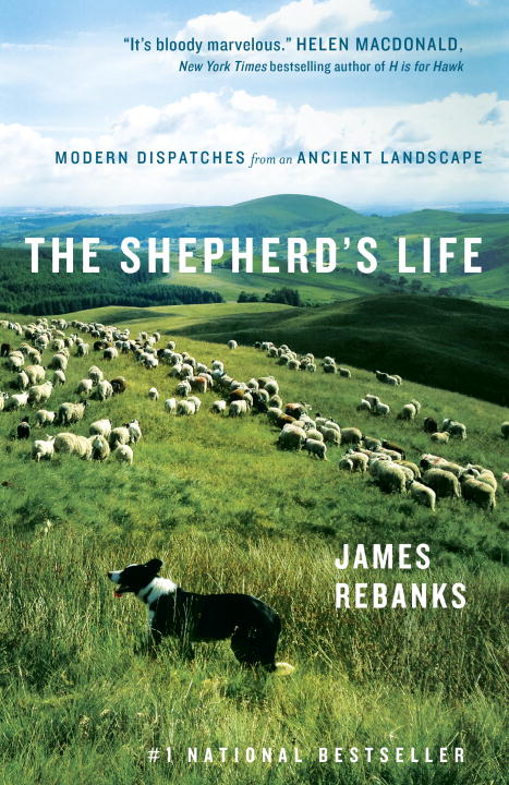 The Shepherd's Life