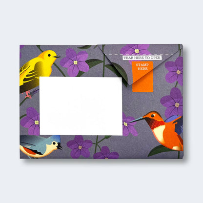 Carnival of Colour Pigeon letter pack
